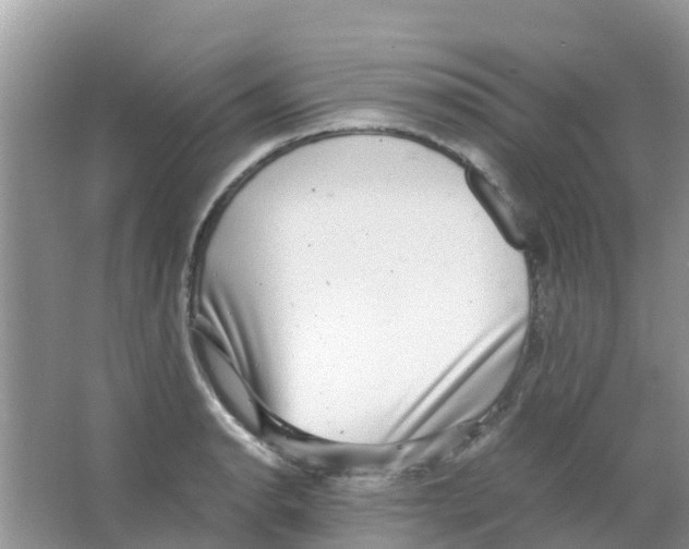 X0000063501134200602172111