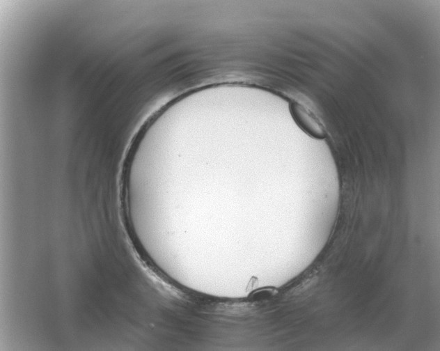 X0000063501135200602172112