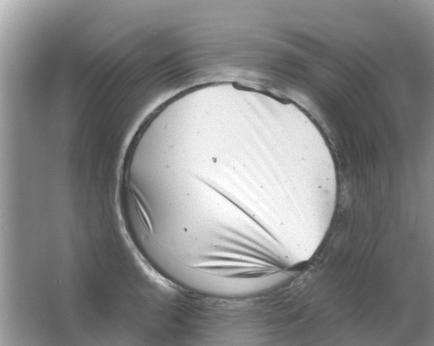 X0000063501136200602172112