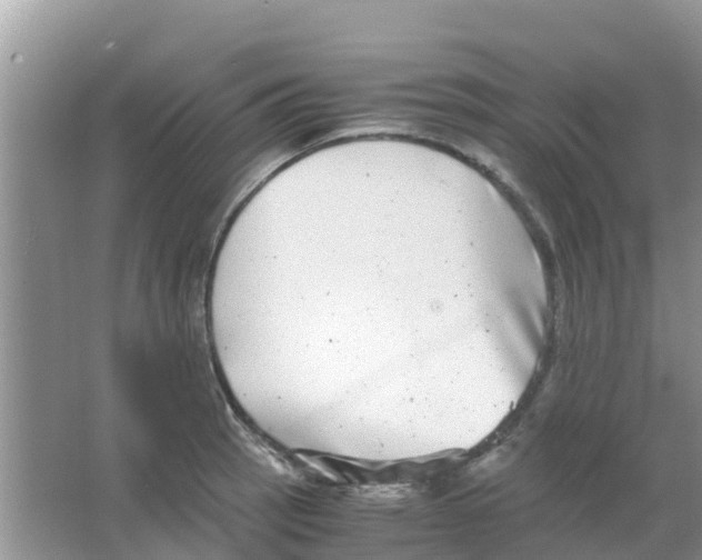 X0000063501137200602172112