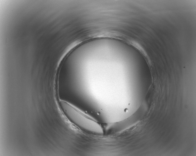 X0000063501138200602172112