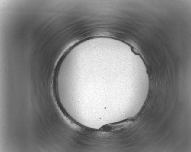 X0000063501139200602172112