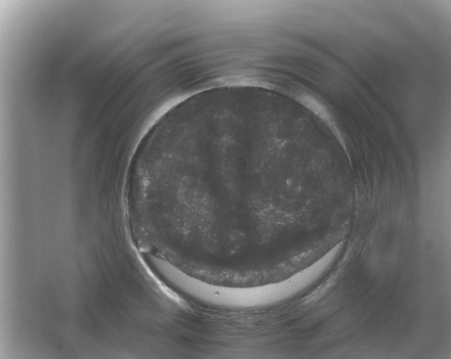 X0000063501141200602172112