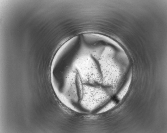 X0000063501145200602172112