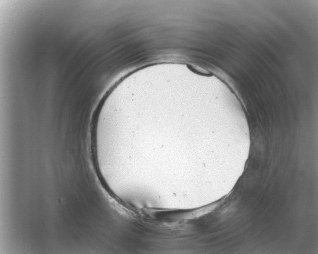 X0000063501147200602172112