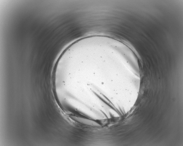 X0000063501148200602172112