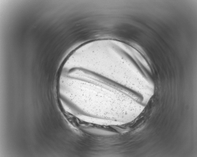 X0000063501149200602172112