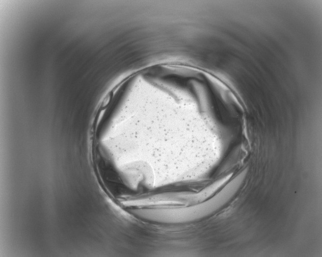 X0000063501151200602172112