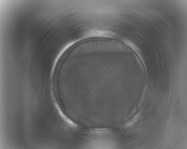 X0000063501152200602172112