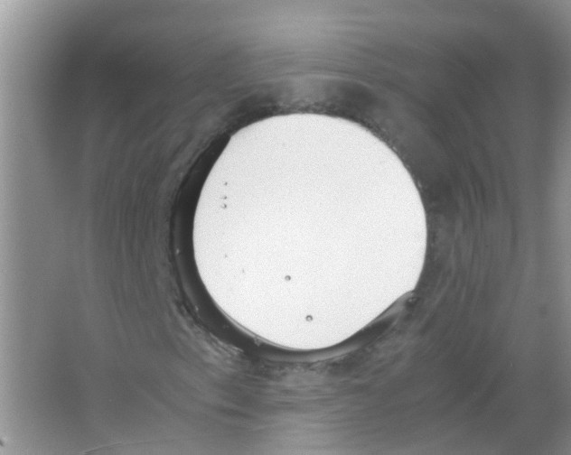 X0000063501153200602172111