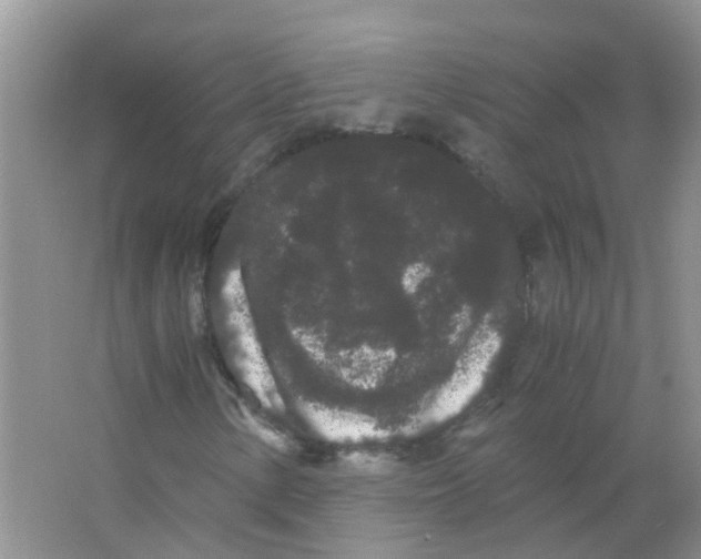 X0000063501154200602172111