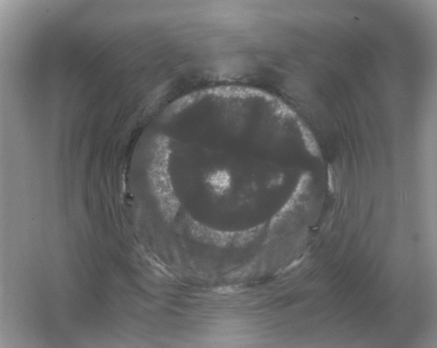 X0000063501155200602172111