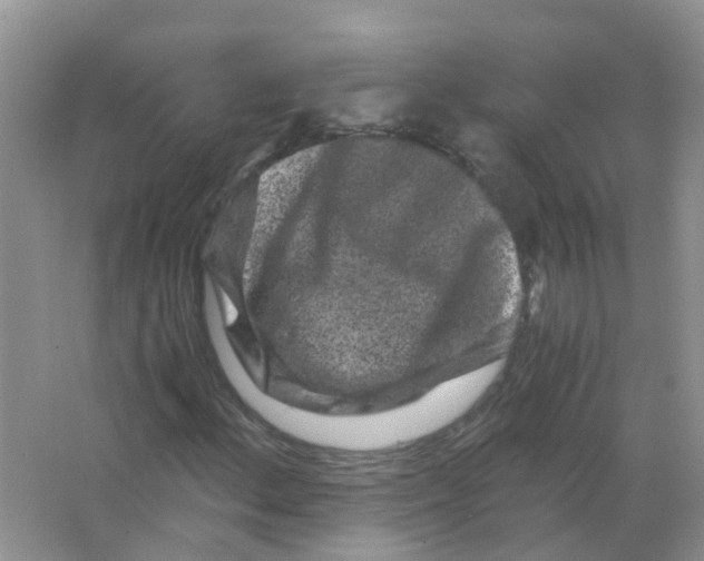 X0000063501156200602172111