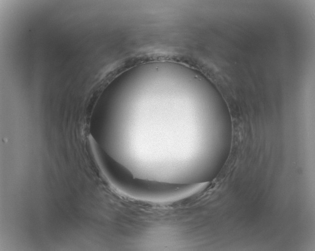 X0000063501157200602172111