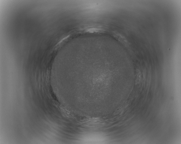 X0000063501158200602172111