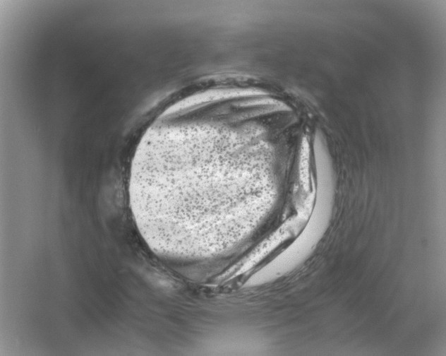 X0000063501159200602172111