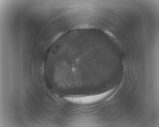 X0000063501161200602172111