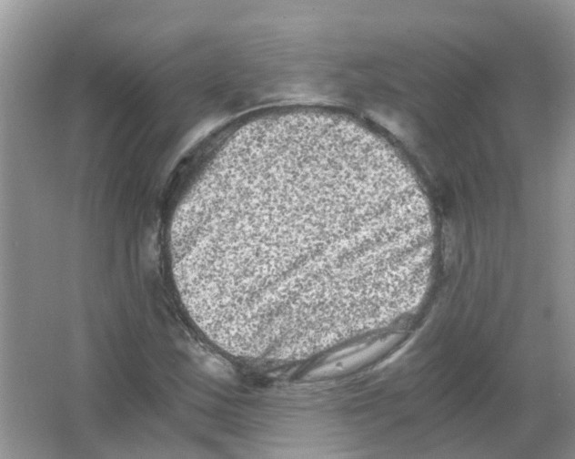 X0000063501163200602172111