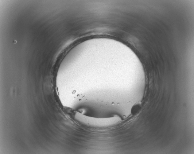 X0000063501164200602172111