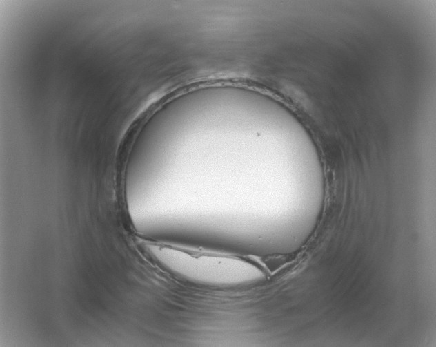 X0000063501165200602172111