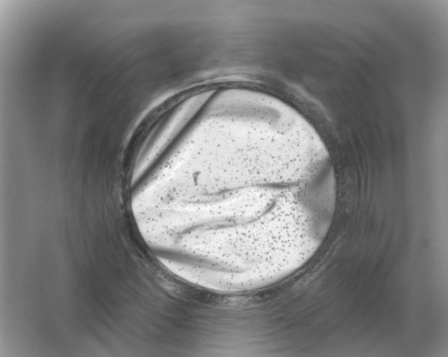 X0000063501166200602172111