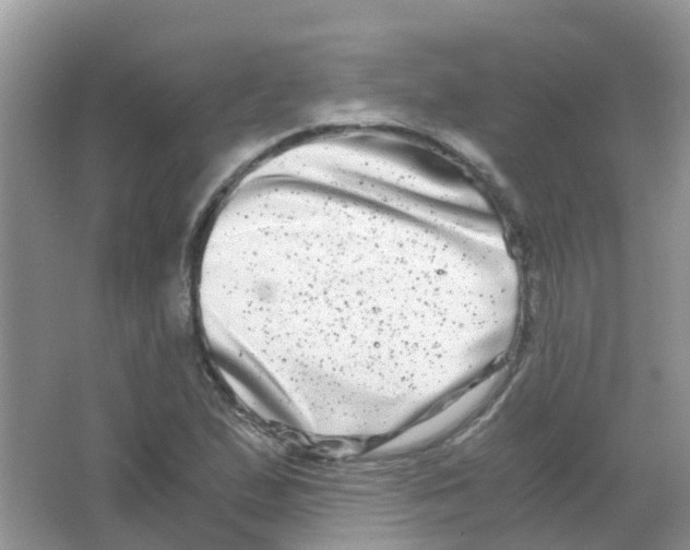 X0000063501167200602172111