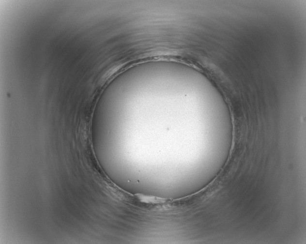 X0000063501169200602172111