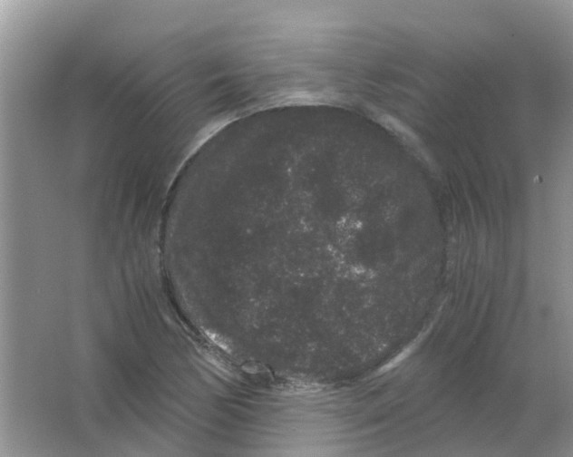 X0000063501170200602172111