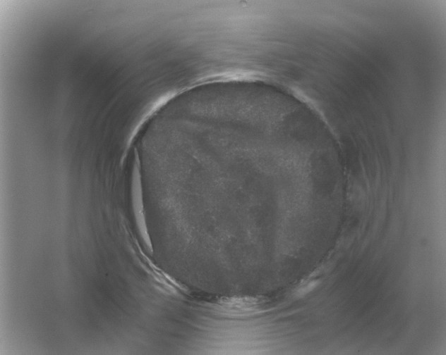 X0000063501171200602172111