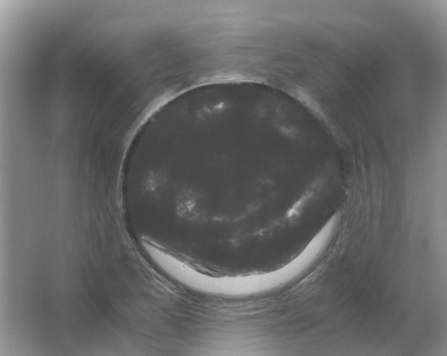 X0000063501173200602172111