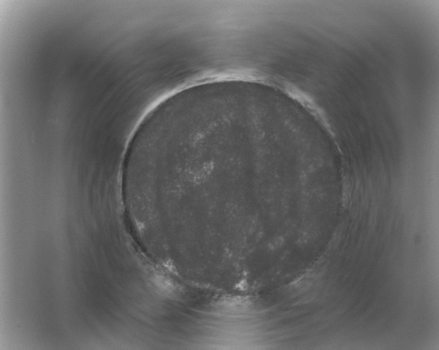 X0000063501174200602172111