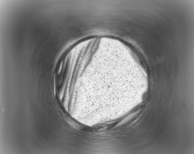 X0000063501175200602172111