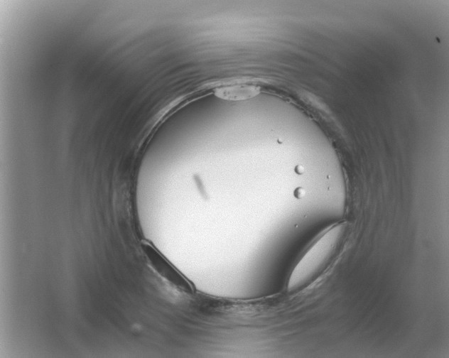 X0000063501177200602172111