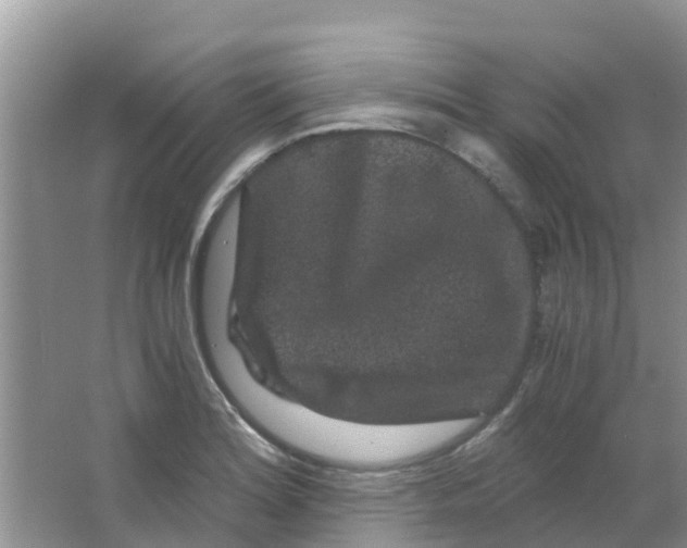 X0000063501180200602172110