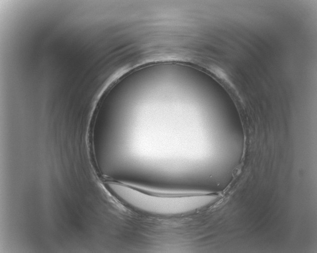 X0000063501181200602172110