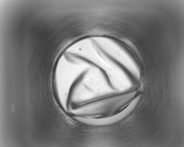 X0000063501183200602172110