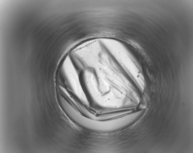 X0000063501184200602172110