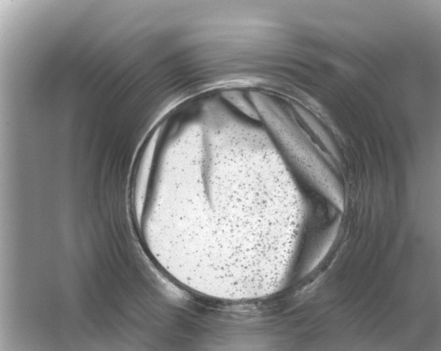 X0000063501186200602172110