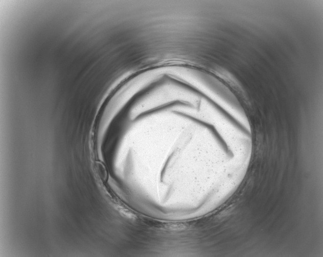 X0000063501190200602172110