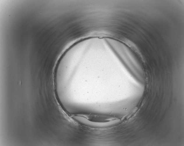 X0000063501192200602172110