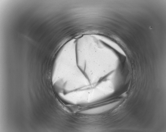 X0000063501193200602172110