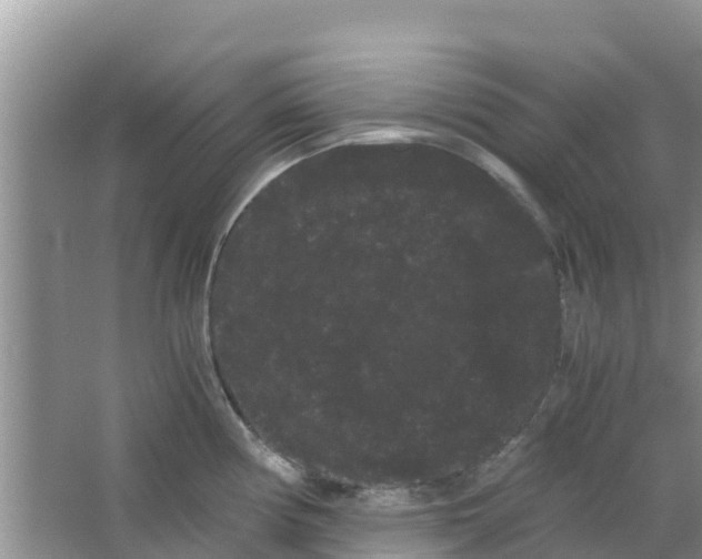 X0000063501194200602172110