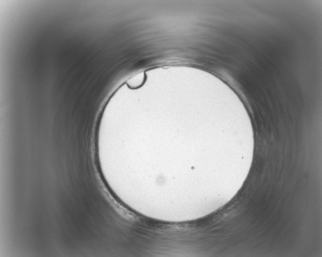 X0000063501195200602172110