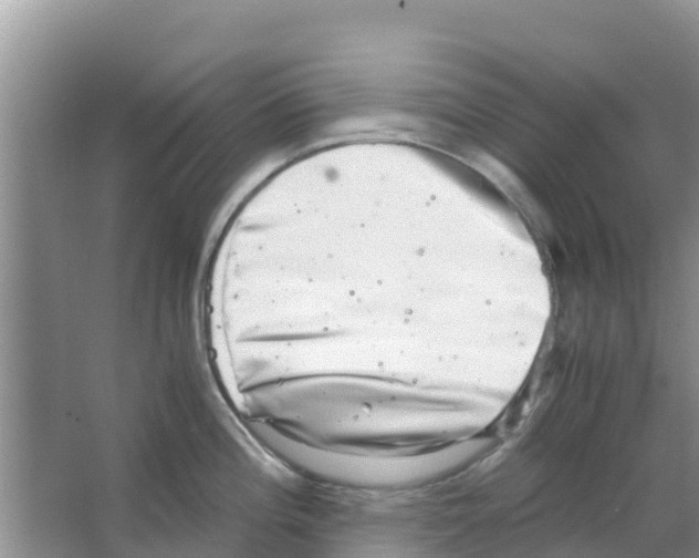 X0000063501196200602172110