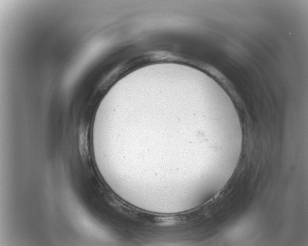 X0000063501199200602172110