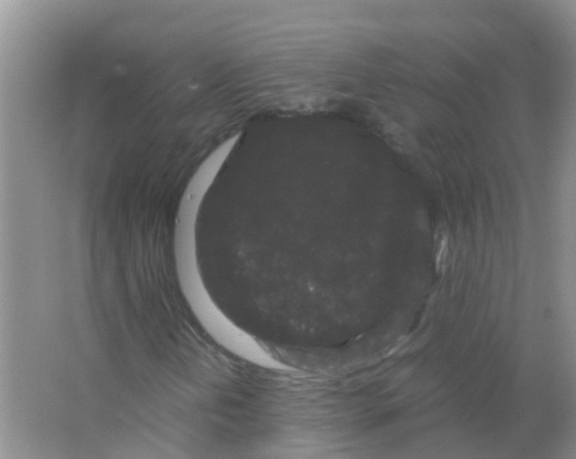 X0000063501202200602172109