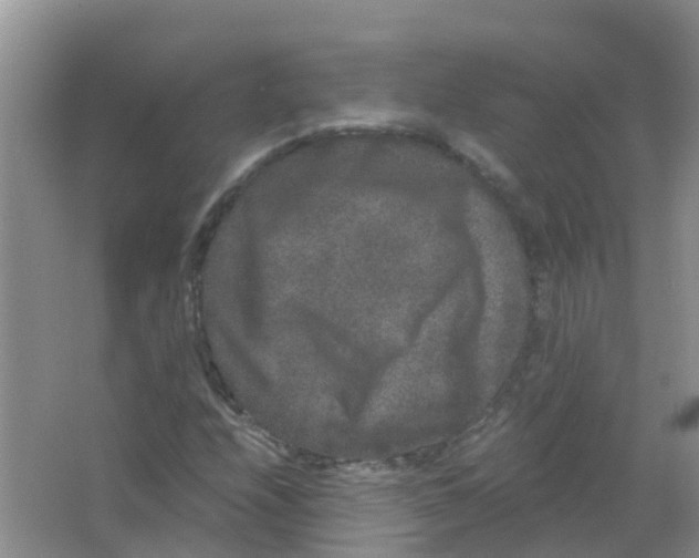 X0000063501208200602172109