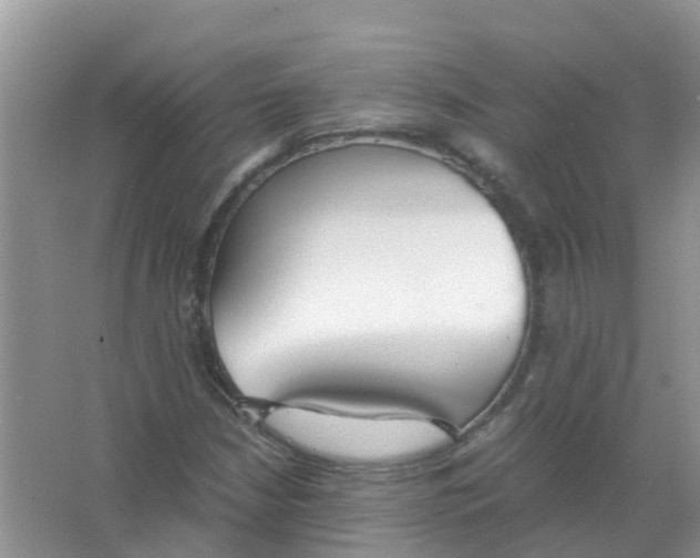 X0000063501210200602172109