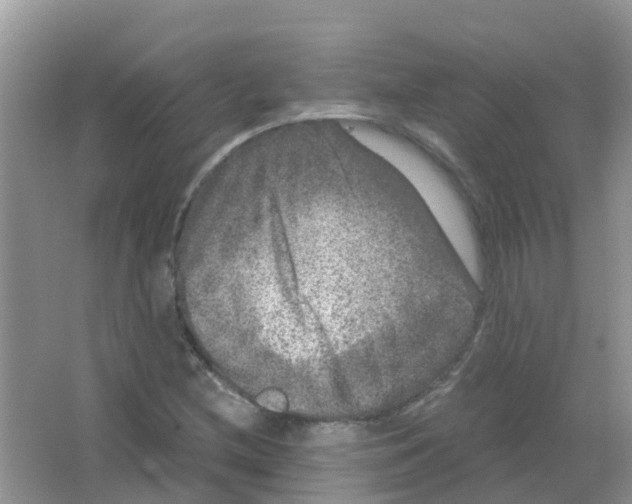 X0000063501212200602172109