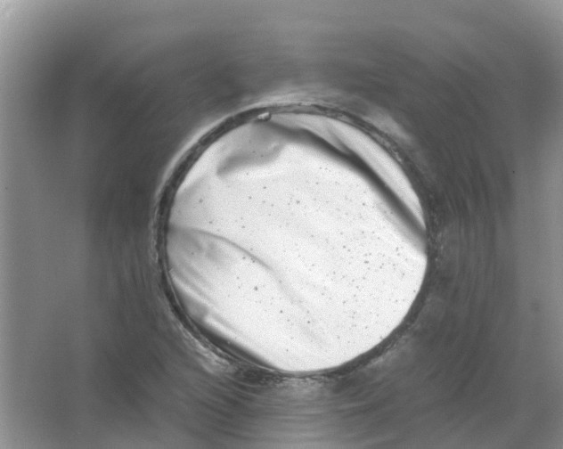 X0000063501216200602172110